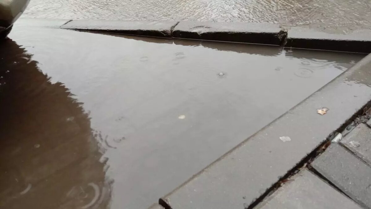     Источник: rostovgazeta.ru