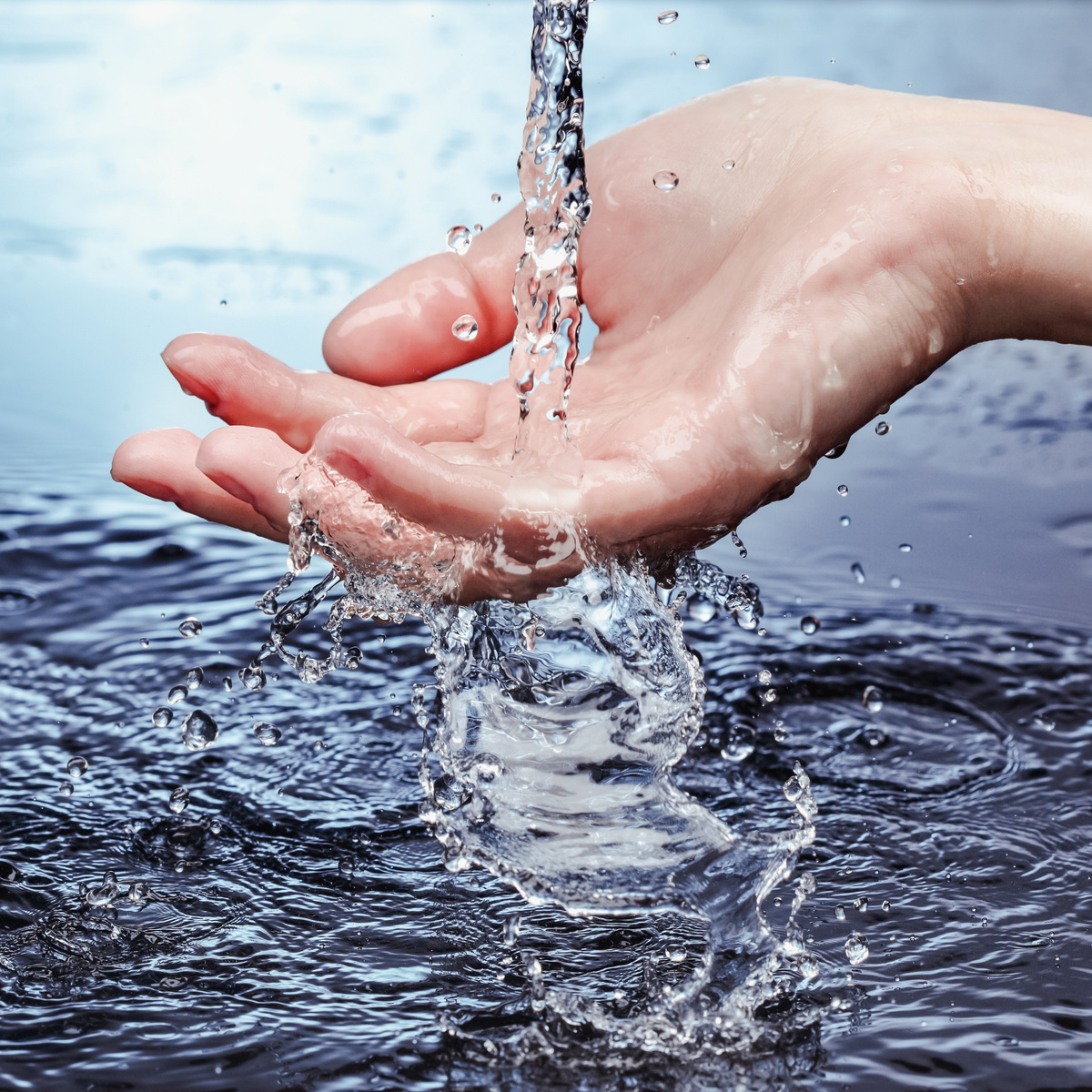 Фото из сети.