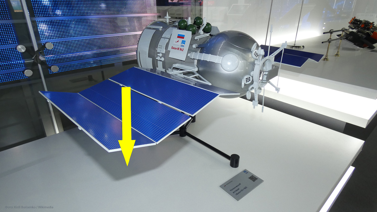    Биологические спутники Бион: загадка, почему человек не летал на Луну