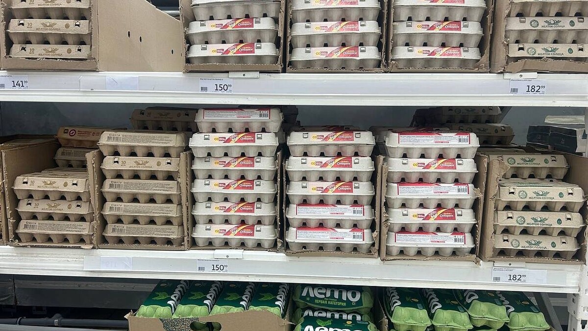    Фото: телеканал «Краснодар»