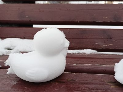    Фото: ГТРК Карелия