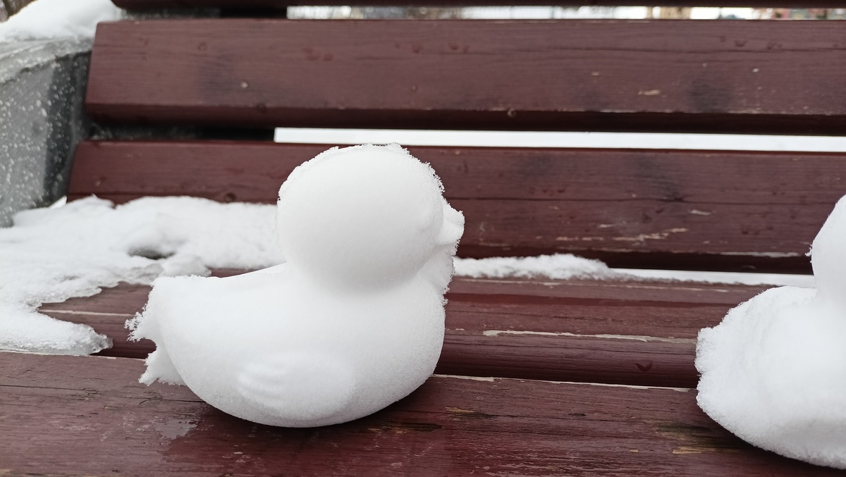    Фото: ГТРК Карелия