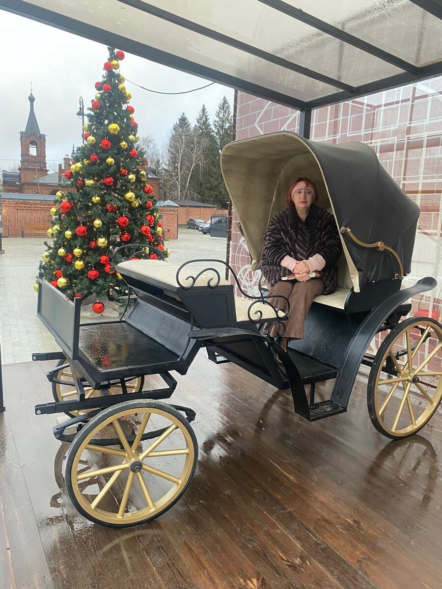 Это Я в повозке .