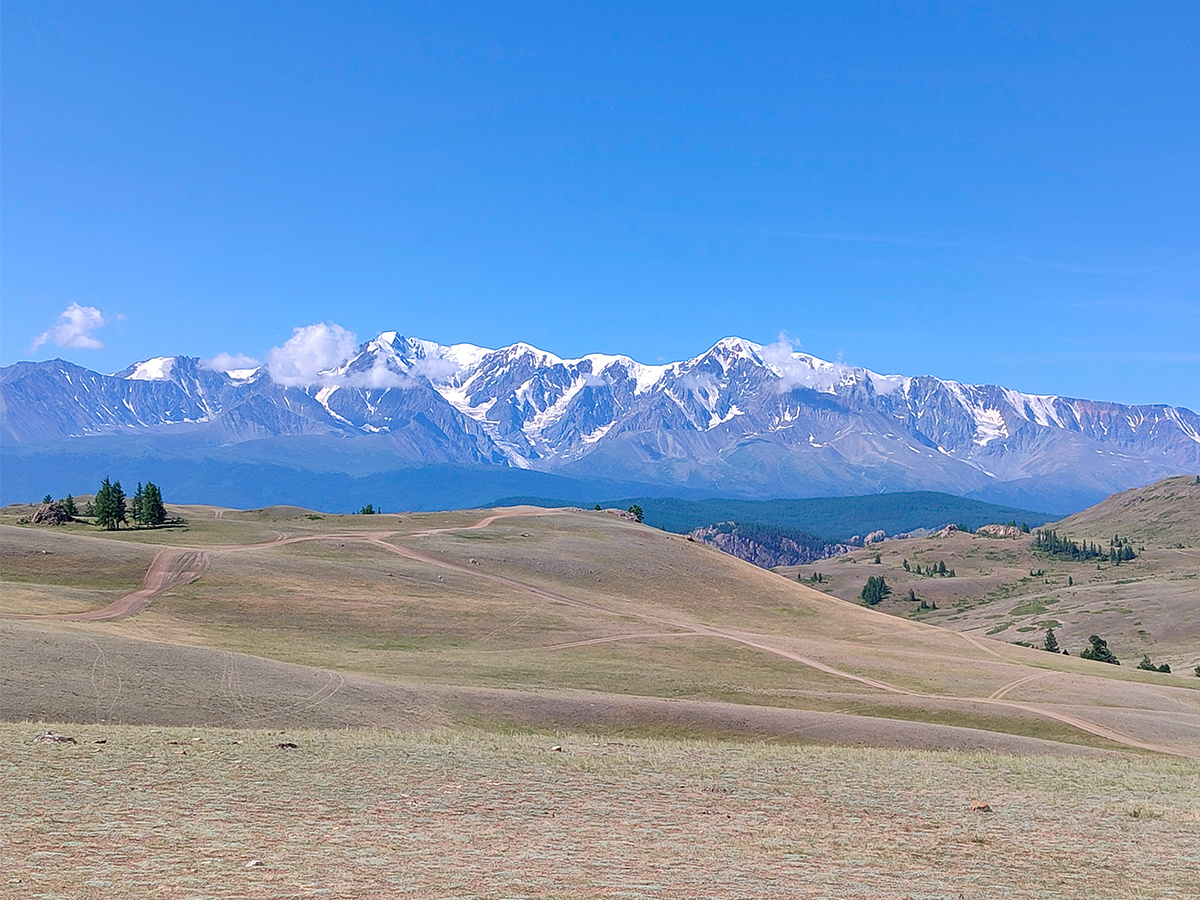 Курайская степь