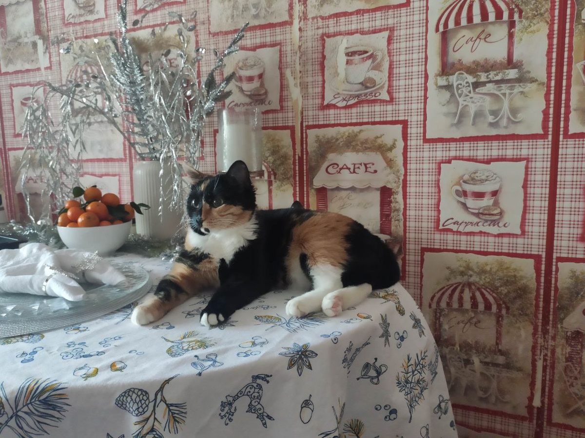 Никуся-младшая 