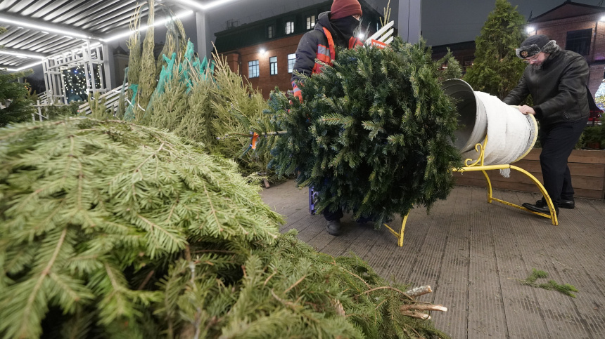    Фото: ИЗВЕСТИЯ/Эдуард Корниенко