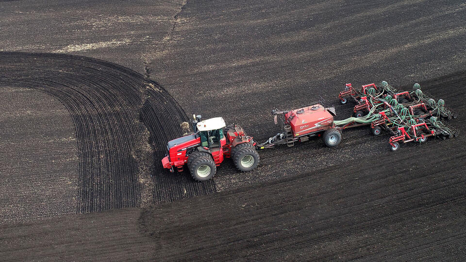     Лунный посевной календарь на 2025 год: лучшие дни для посадки растений РИА Новости/Илья Наймушин