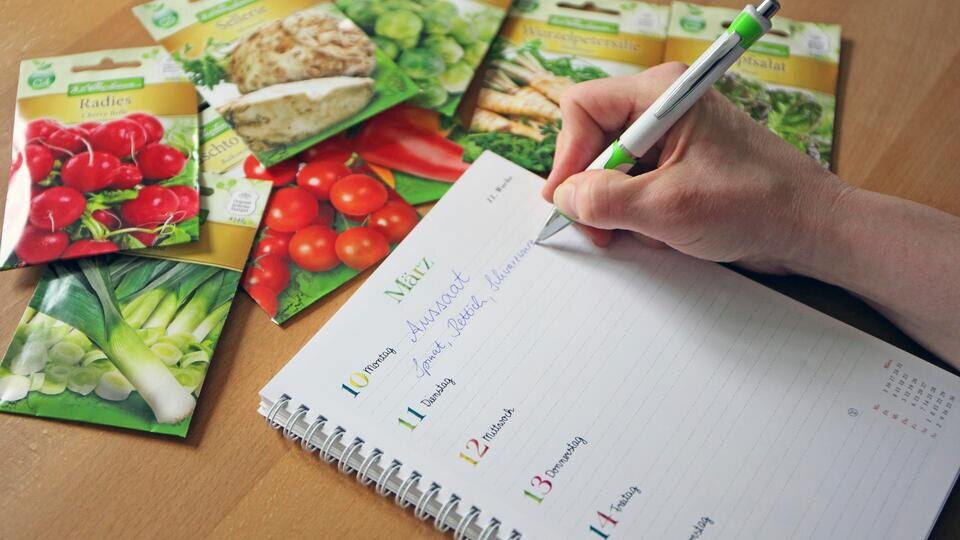    Global Look Press/Ottfried Schreiter/imageBROKER.com