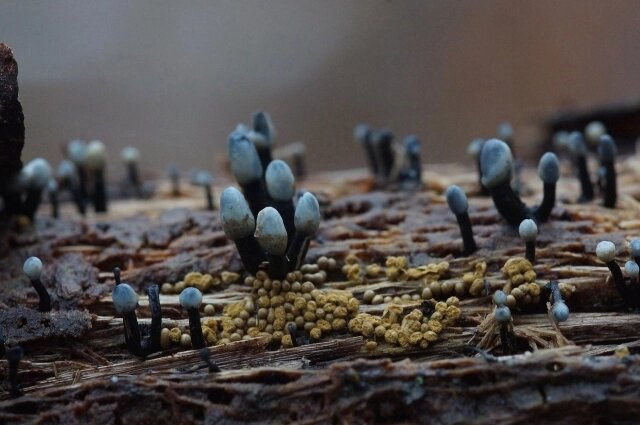    Фото: Из личного архивa/ Марина Привалова