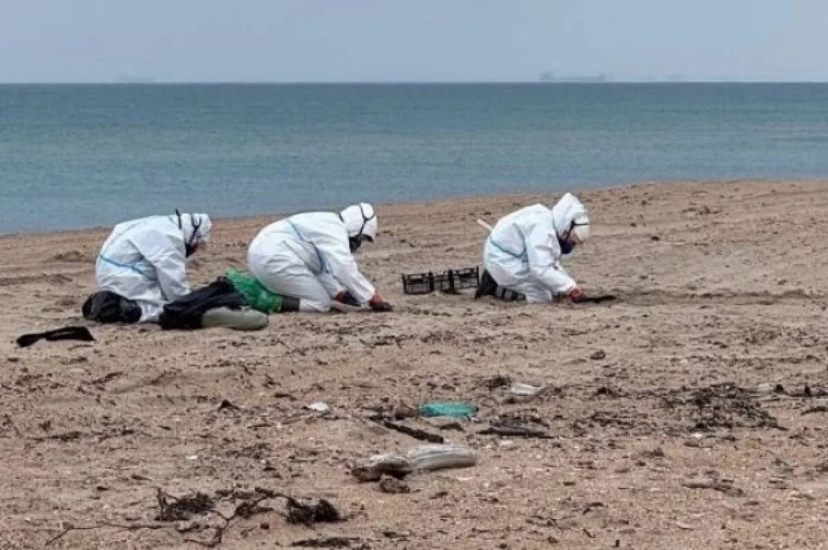    Люди на коленях вычищают участок за участком.