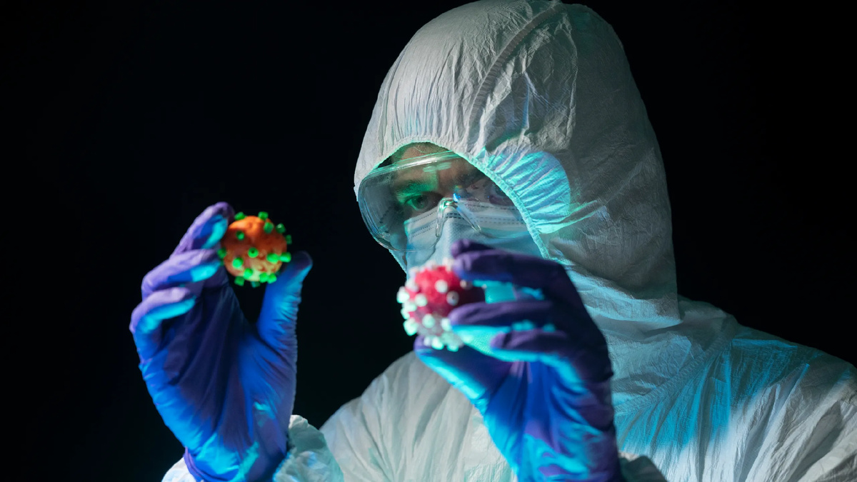 В конце 2024 год с высокой скоростью начал распространяться вирус Европа-2025