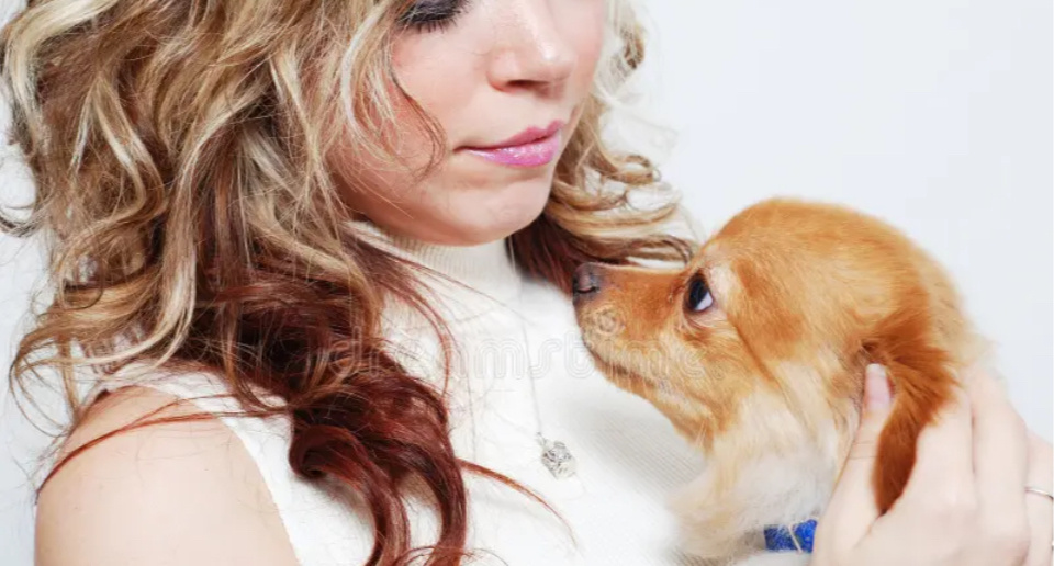 Яндекс.картинки просто для обложки