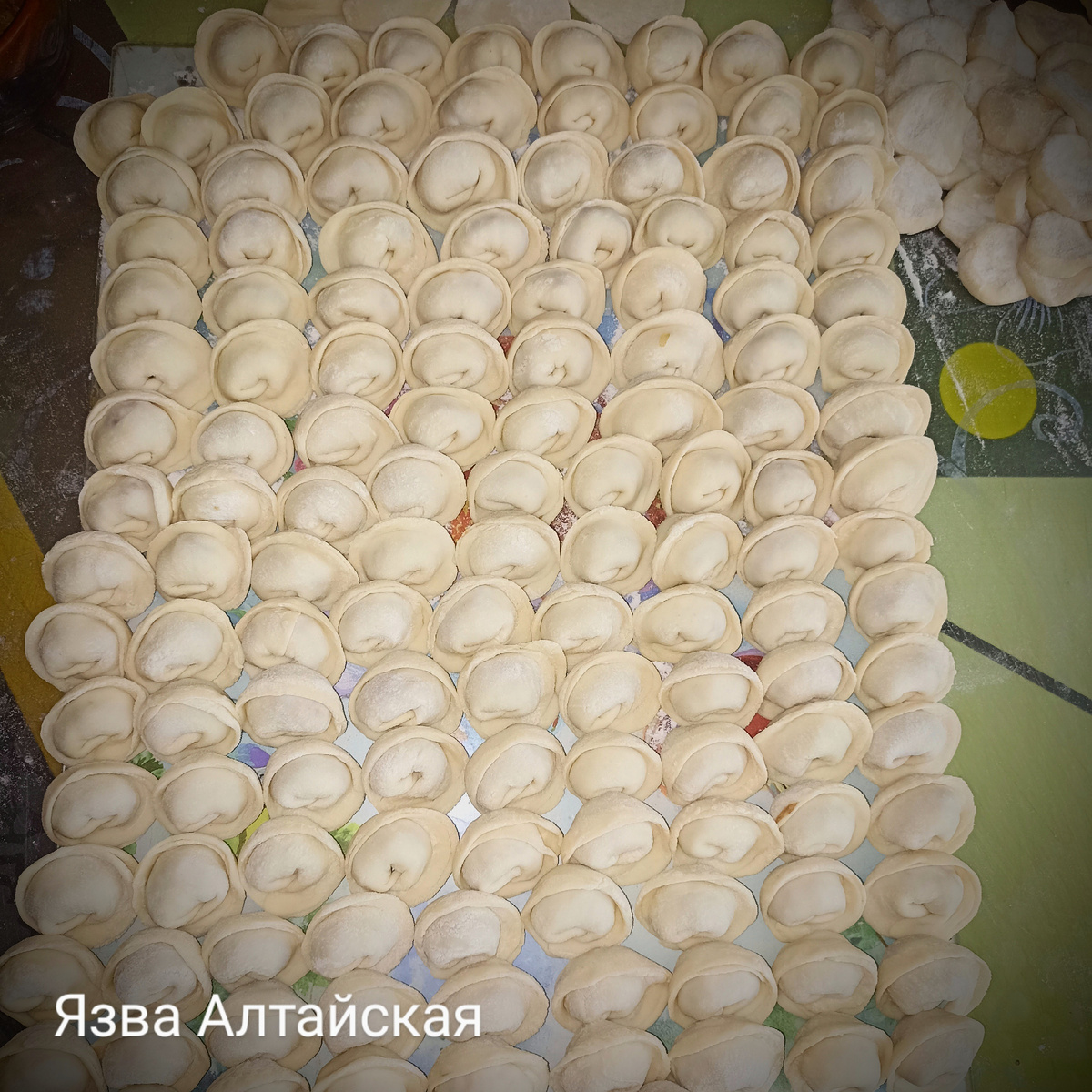 Мои пельмешки