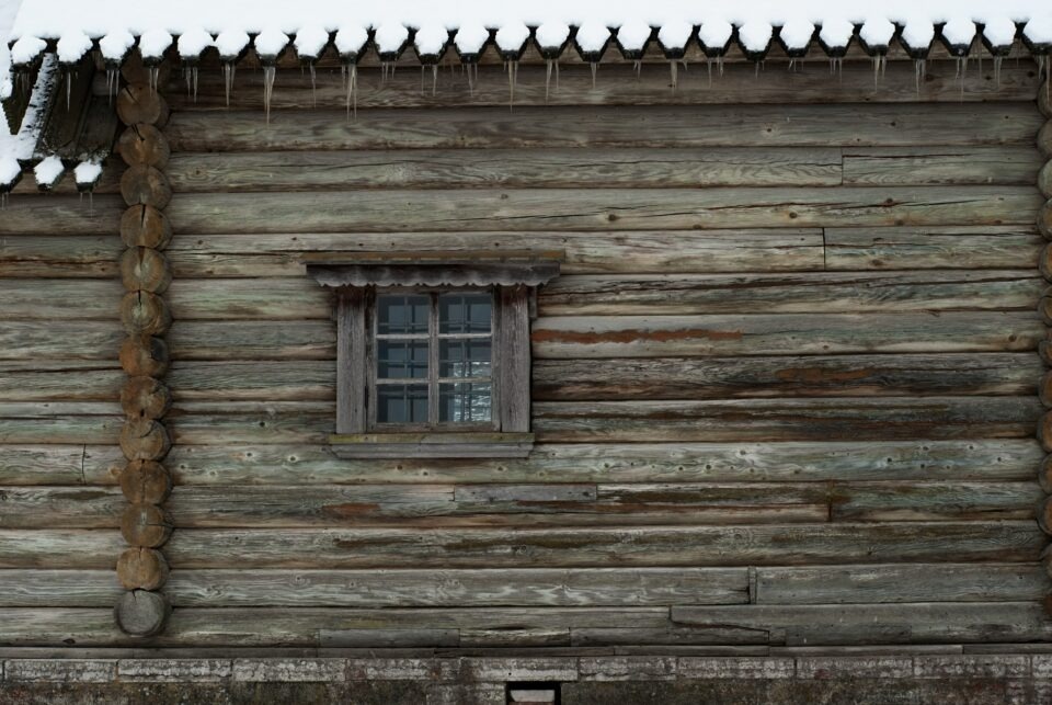 Чем опасна нецензурная брань и почему не стоит подкармливать бездомных животных?