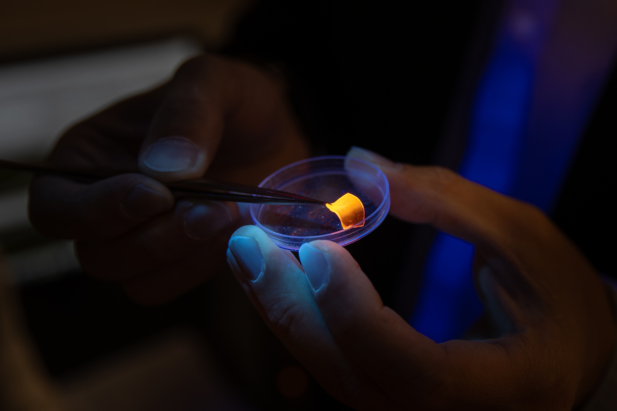 Фотолюминесценция полупроводниковых нанопроводов.