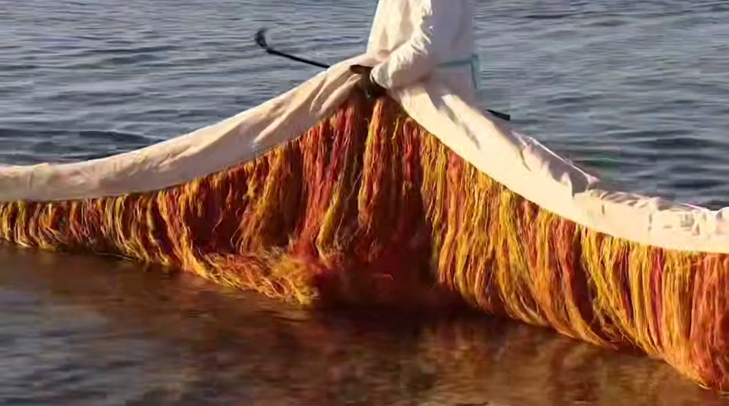 Фото: скриншот видео оперативного штаба Краснодарского края