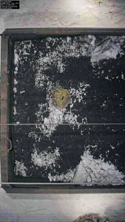    Фото: Официальный новостной Telegram-канал РЖД.