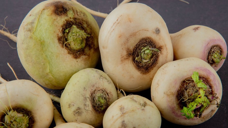 Источник: Freepik