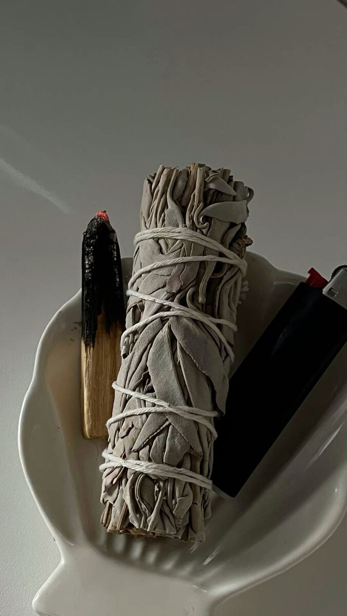 Шалфей и его защитная сила | Магические растения | Pink Witch