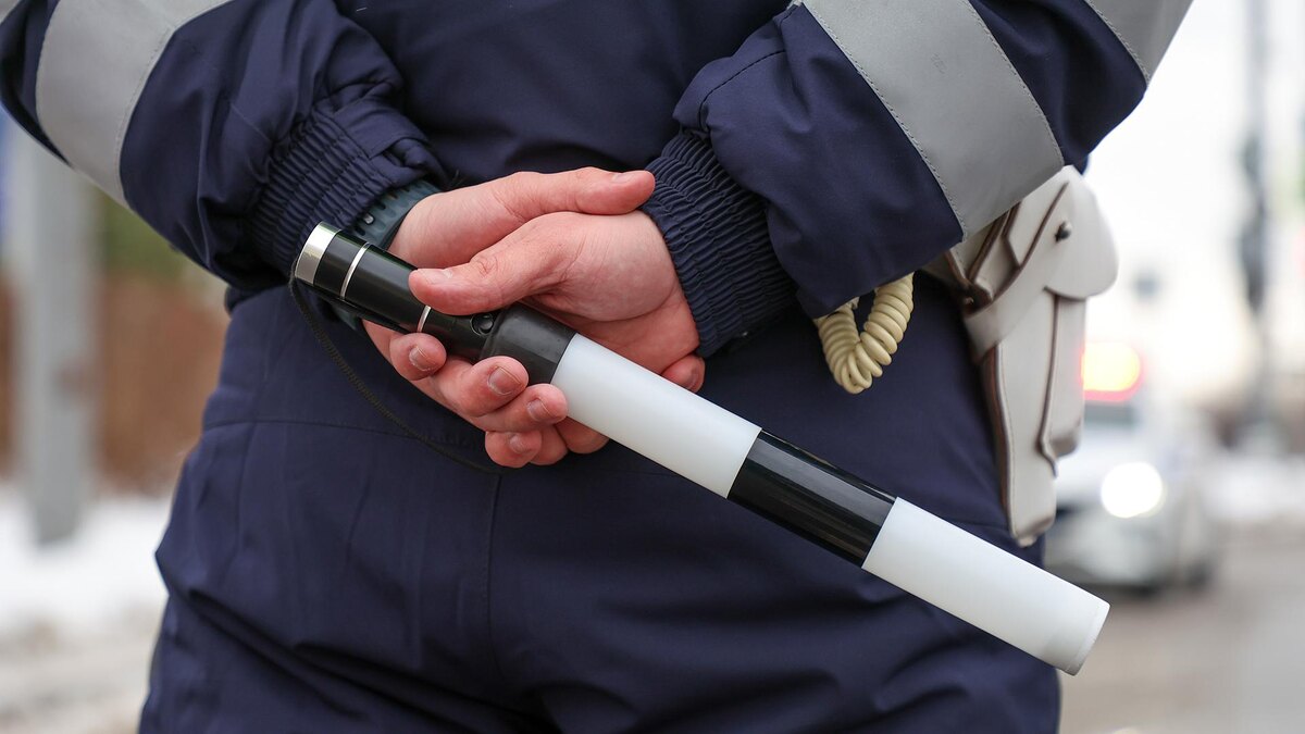    Фото: Belkin Alexey/globallookpress.com