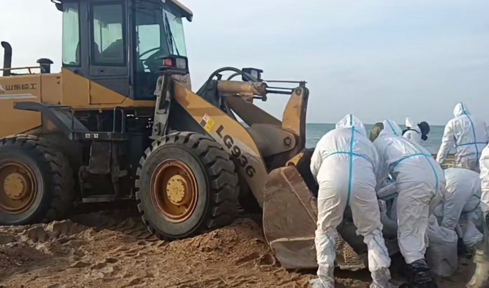    оперативный штаб Краснодарского края