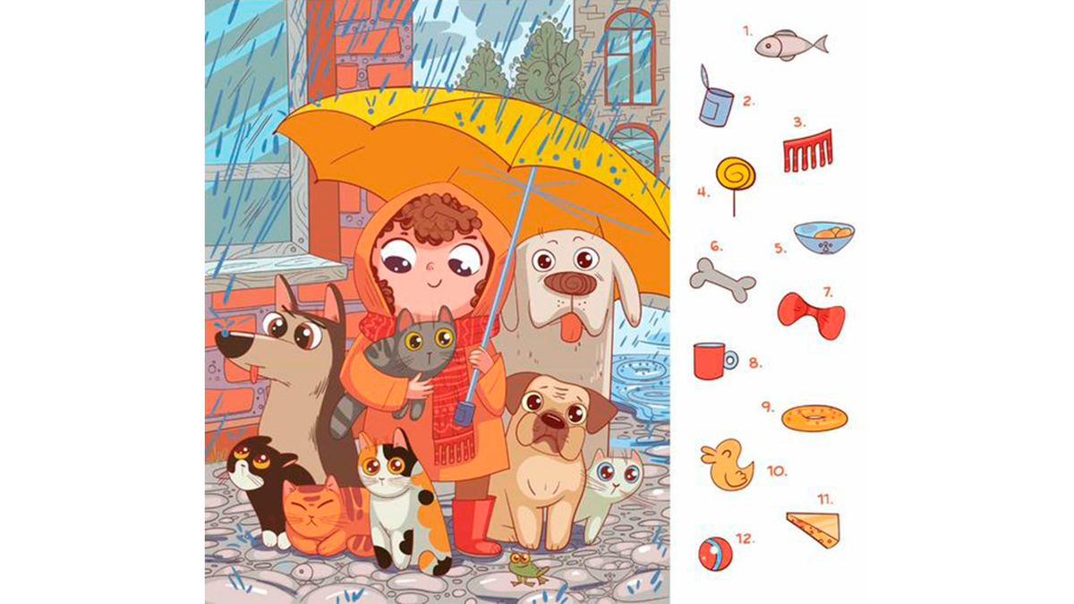 Найди на картинке