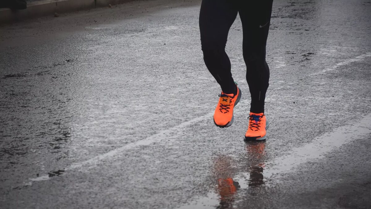     Источник: 1MI