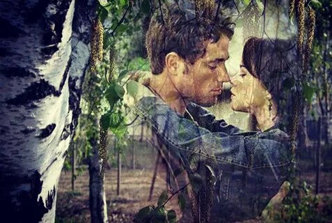 Из открытого доступа