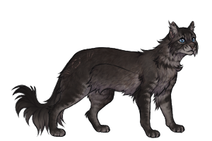 сосновая ветка