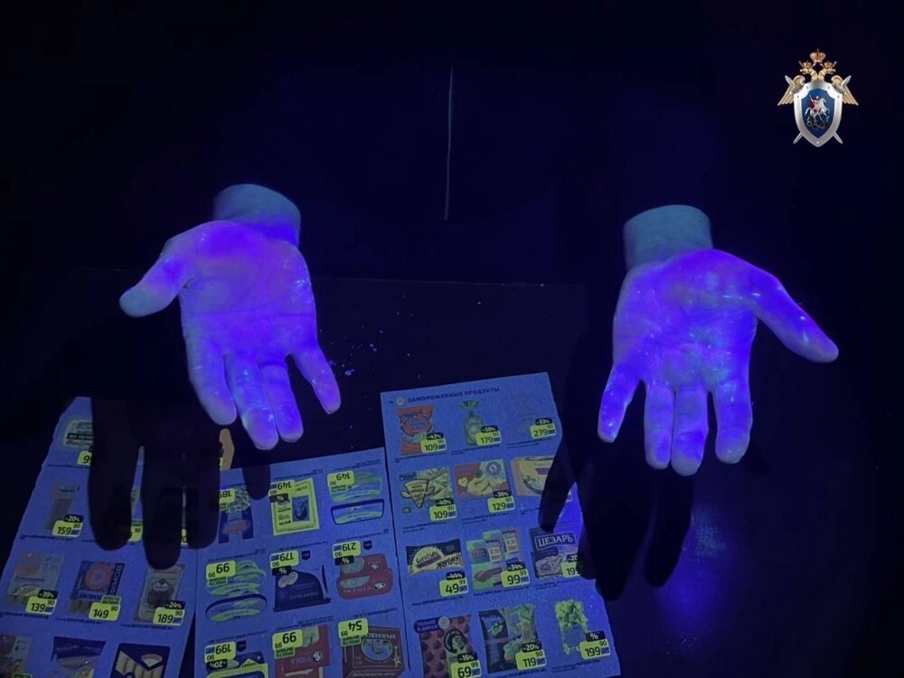    Фото: ГСУ СК РФ по Петербургу/ Скриншот видео