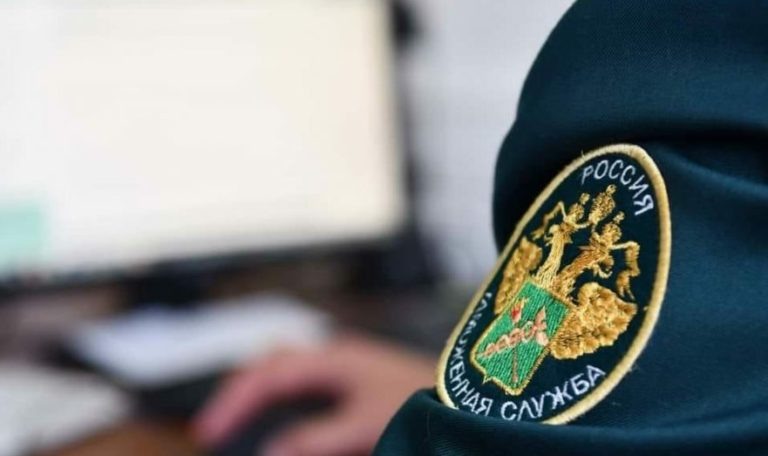    Фото: customs.gov.ru Дарья Федотова