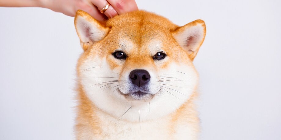 Фото: 123RF/pepsona