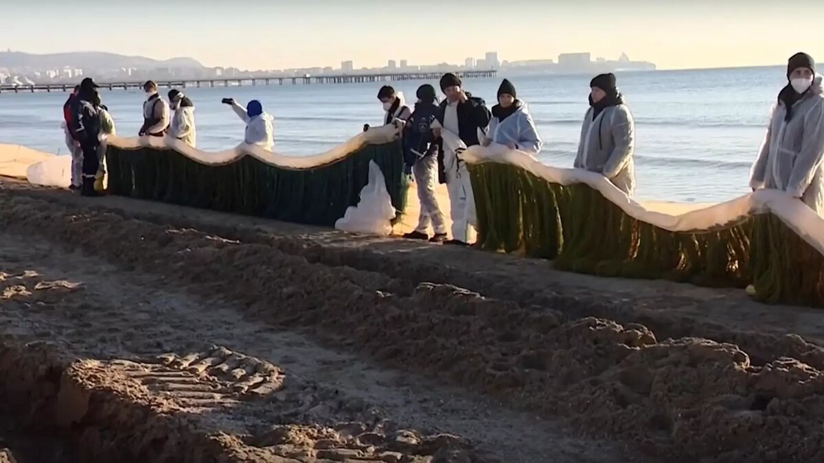     Источник: Скриншот видео оперштаба Краснодарского края