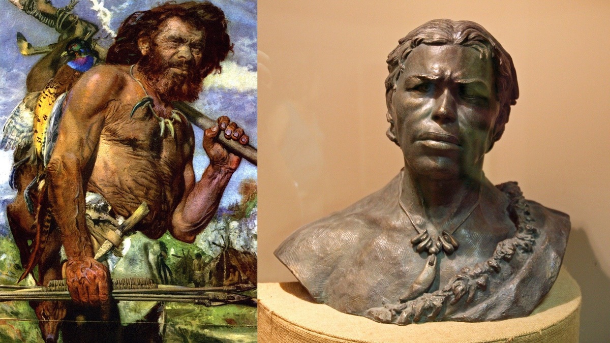 Противопоставленные большие пальцы рук. Ногти были плоскими, а не когтистыми.

Хорошо развитые плечевой и локтевой суставы. Благодаря способности передвигаться на двух ногах, без опоры на руки, Homo sapiens мог использовать свободные руки для других целей, например, для защиты.