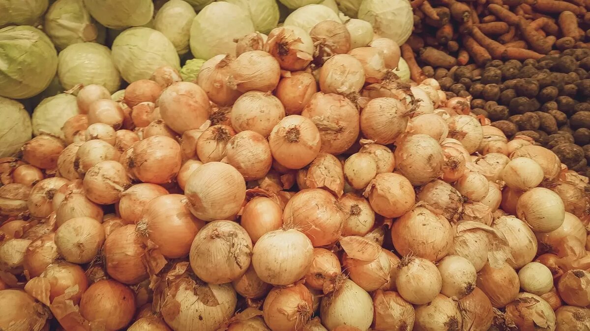 Плодоовощная продукция, а не заморские бананы дорожали и продолжают дорожать быстрее всего. Фото: 1MI