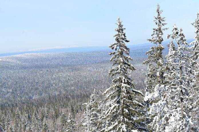    Фото: oblgazeta.ru Георгий