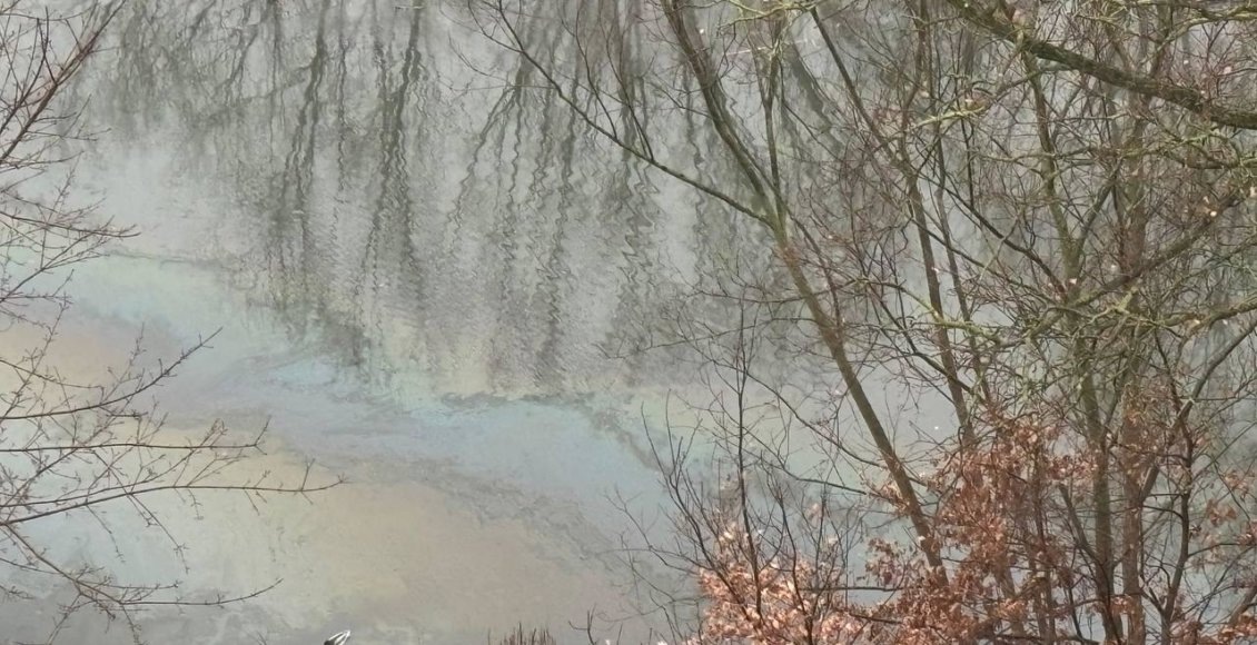    Фото: "Зелёный фонд"