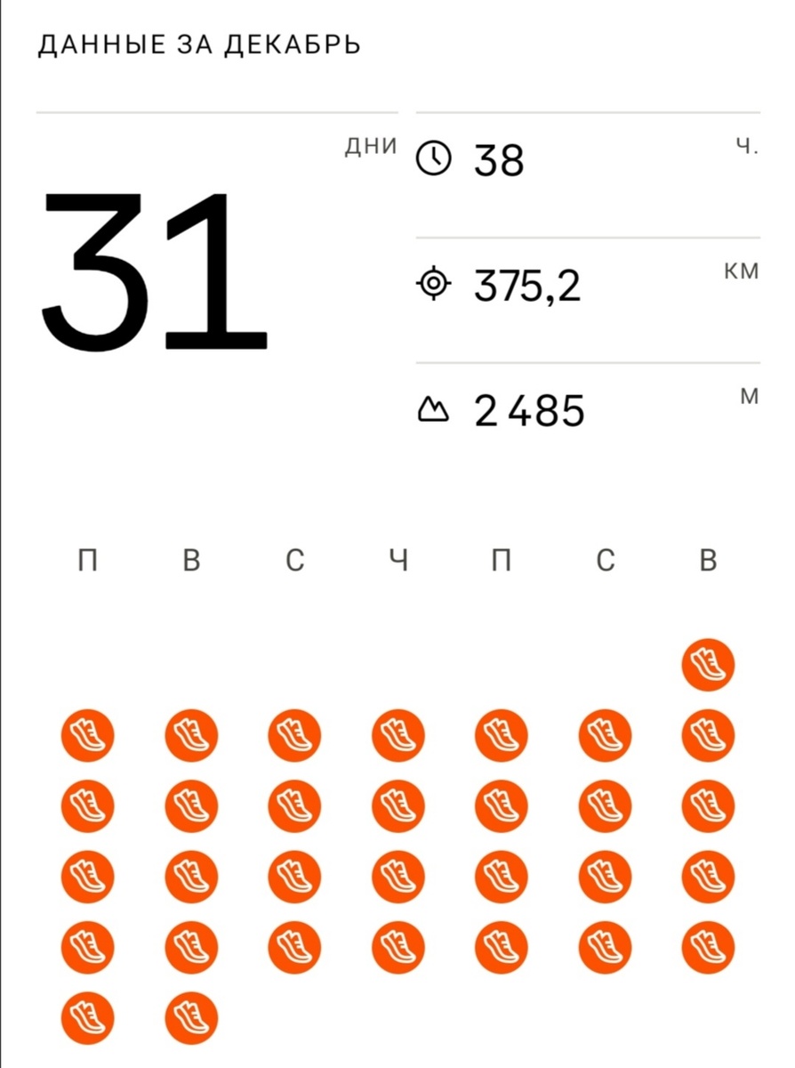 Отчёт за декабрь 2024