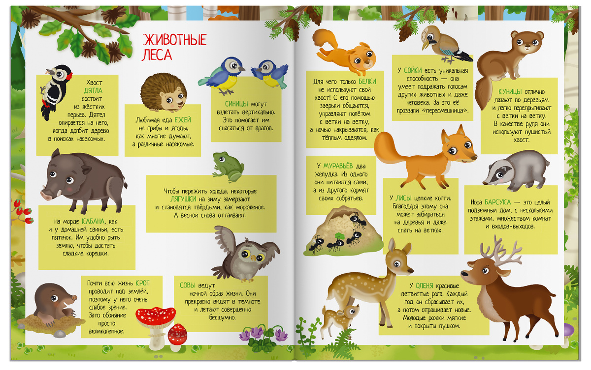 Разворот с интересными фактами 