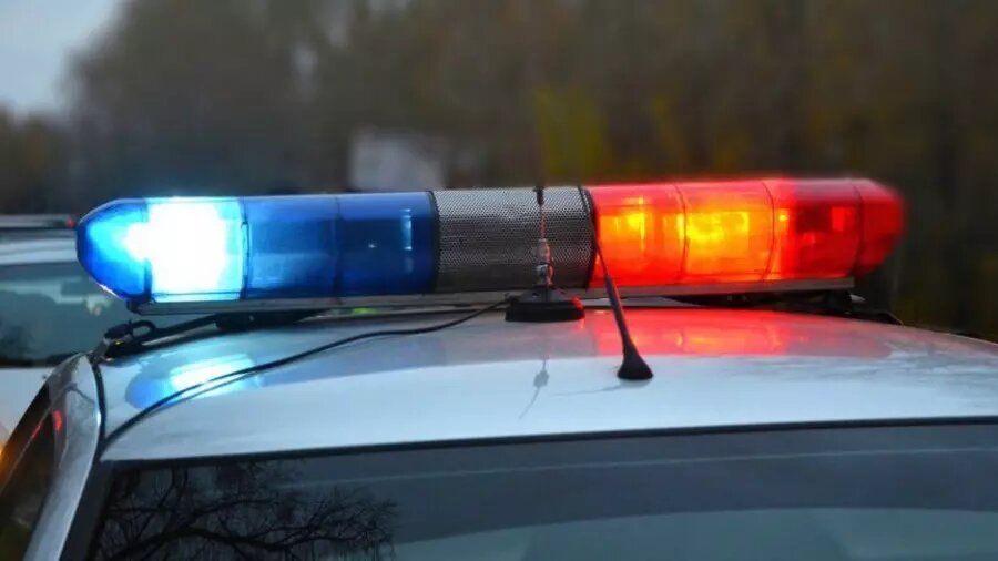     Источник: Управление Росгвардии по Республике Карелия