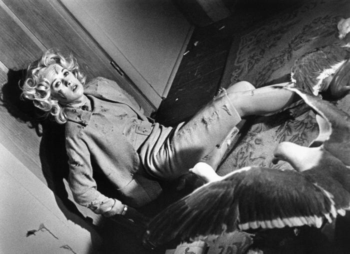 кадр из фильма "Птицы"