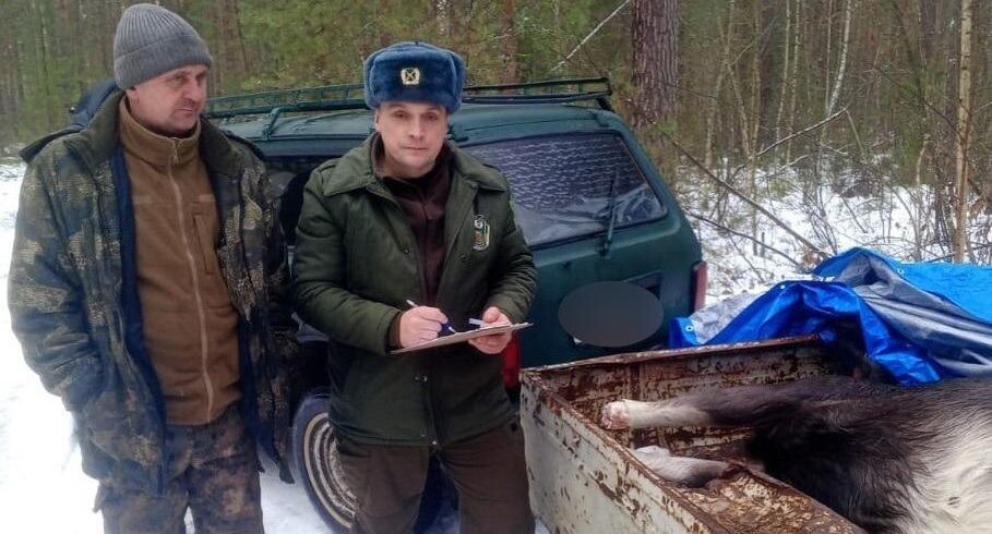    Комитет лесного хозяйства Московской области