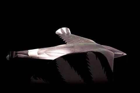 Концепция Aquiline включает в себя птичьи перья, нарисованные на крыле. Беспилотник должен был быть очень радиоактивной птицей.