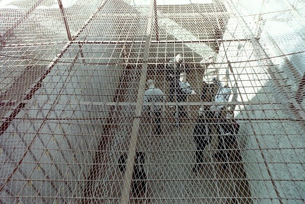    Фото: lenta.ru Георгий