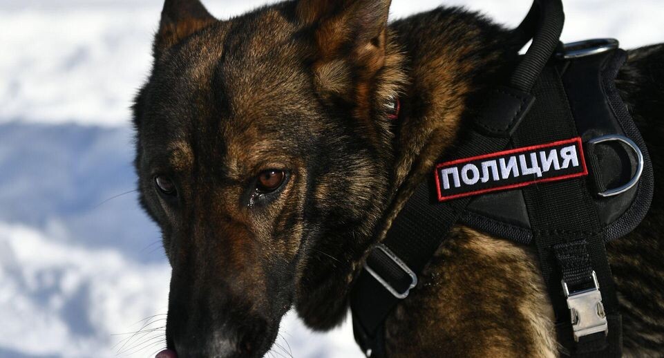    РИА «Новости»