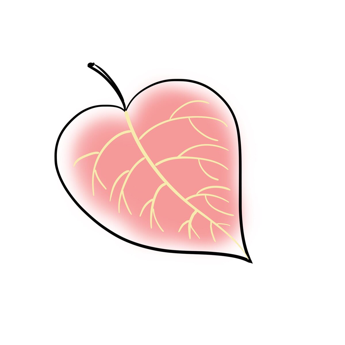 Кишка похожа на лист. Или это сердце?