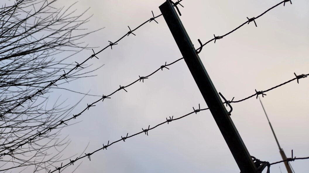    Maksim Konstantinov/ Global Look Press/Globallookpress