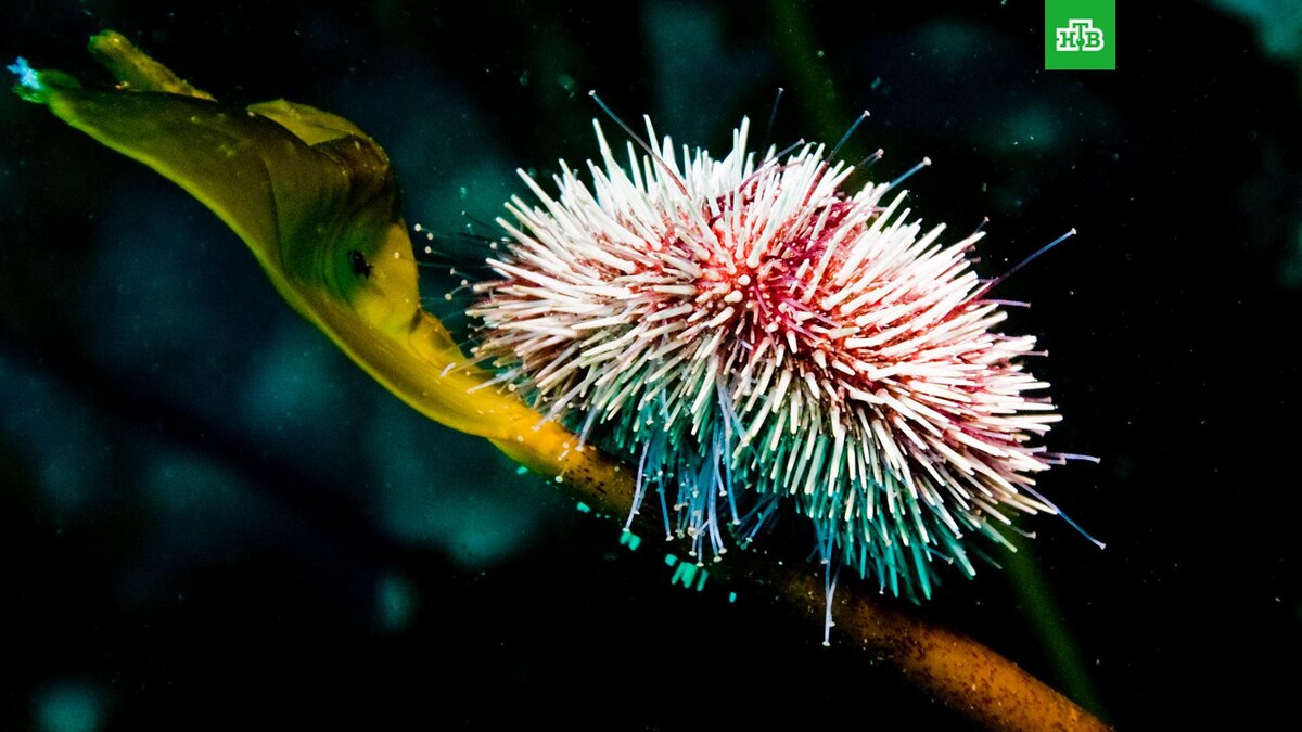    Фото: РИА Новости © 2025, Антон Денисов