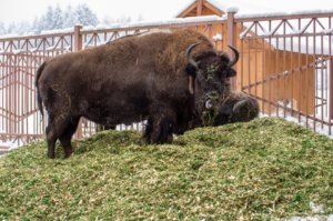    Фото: ППК РЭО