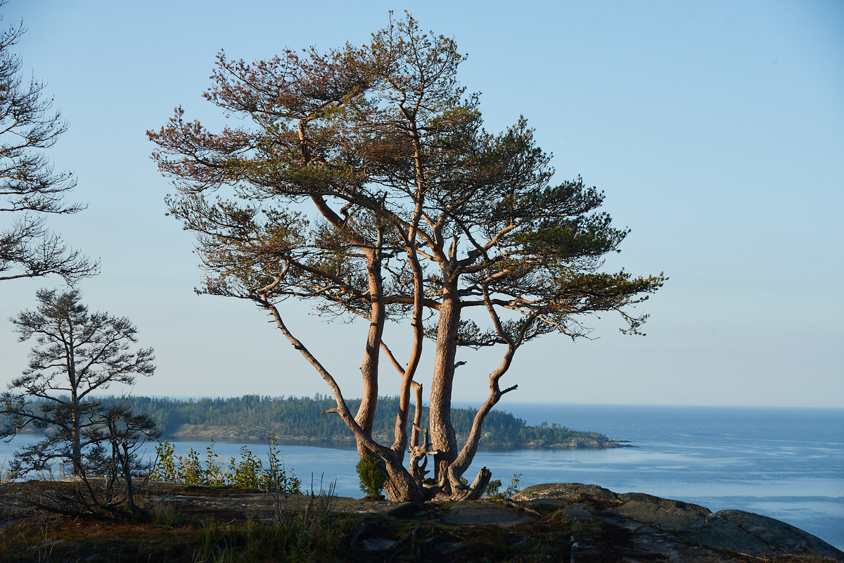 Вид с точки "крыша Ладоги"